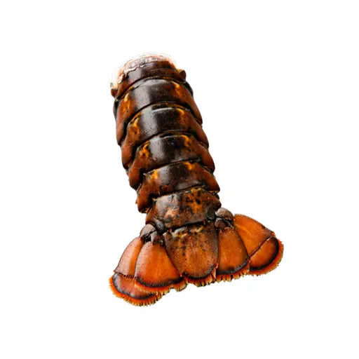 Queues de homard crues congelées